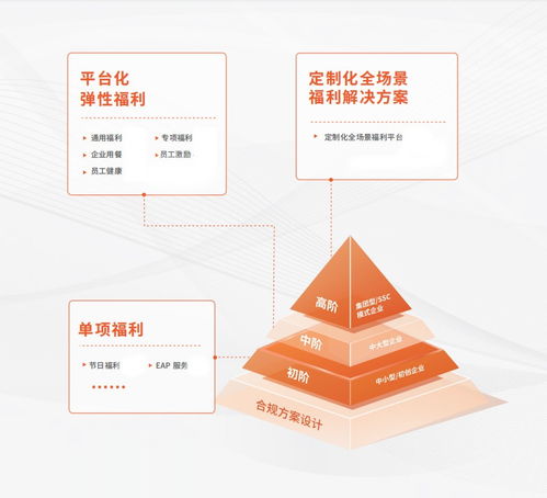 以福利管理為切口，中智關(guān)愛(ài)通打造“以人為本”的數(shù)字化服務(wù)能力